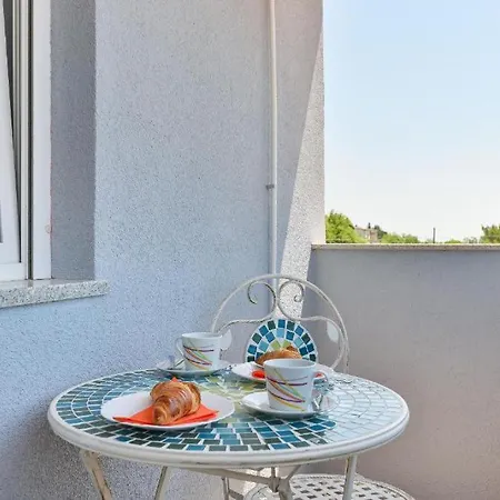 Sara فيلة بنكوفاتش