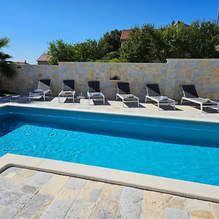 Sara فيلة بنكوفاتش