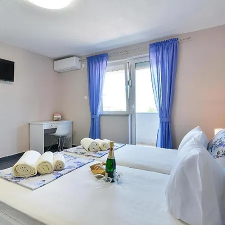 فيلة Sara بنكوفاتش